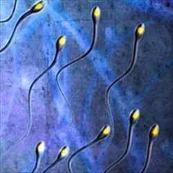 Saed maend laboratorium12016292101408128