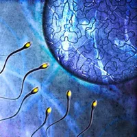 Saedkvalitet antioxidanter