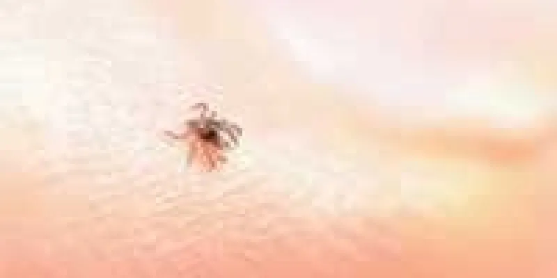 Sommer sol flaat 8 raad1 75nm8tgnm