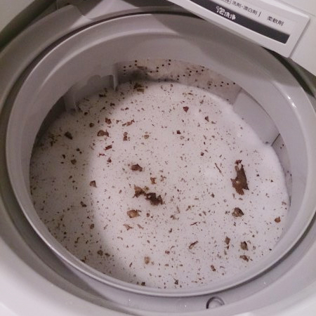 洗濯槽はけっこう汚れてる
