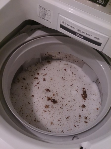 新品購入の洗濯機がたった5ヶ月で~洗濯槽はけっこう汚れてる
