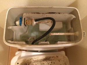 駆逐してやる トイレタンクに突如あらわれたカビによって日常が破壊された話 くらしの丁度品店 木村石鹸