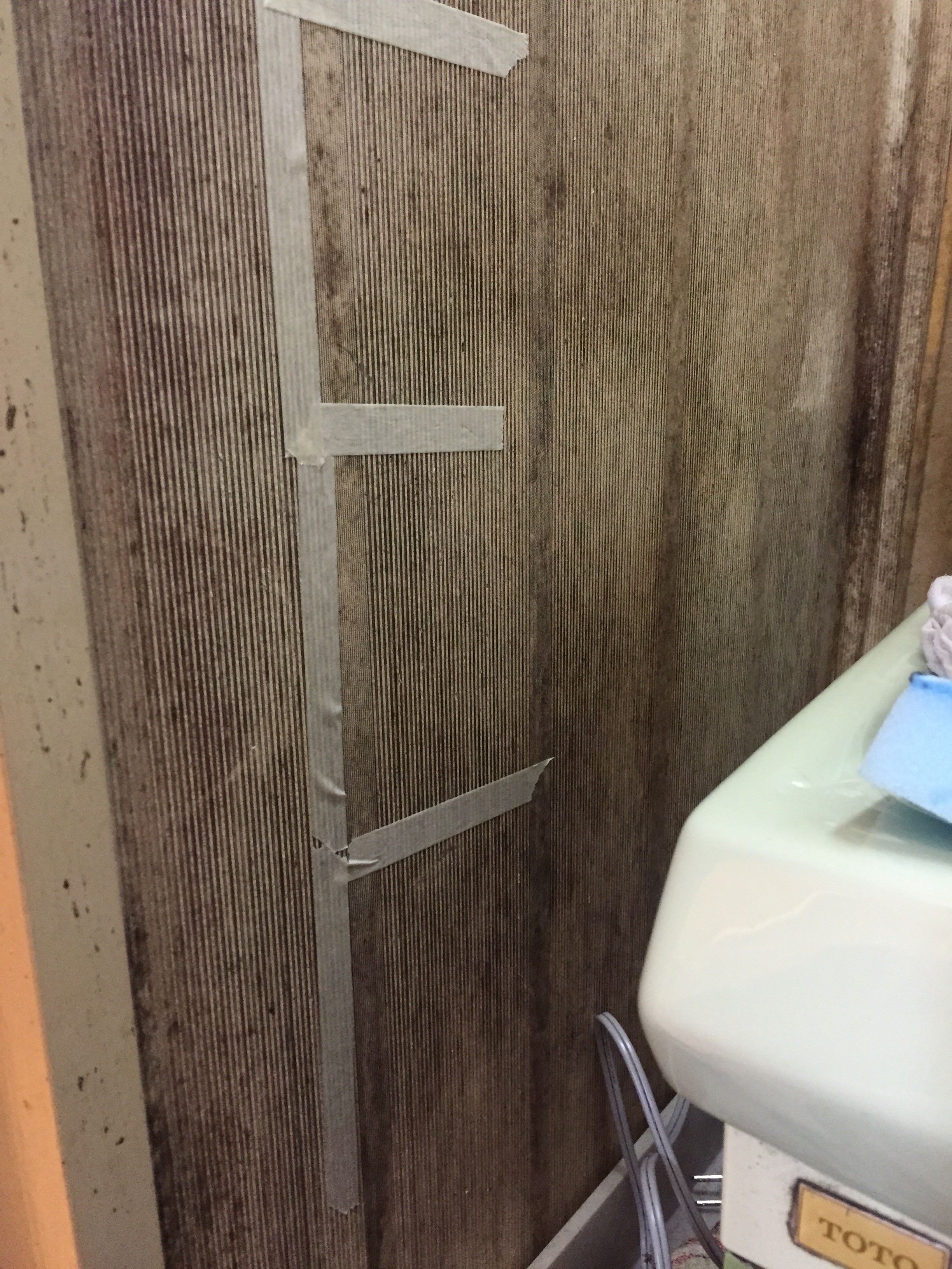 日本一掃除しがいのある汚い家を掃除してきた お風呂のカビ編 くらしの丁度品店 木村石鹸