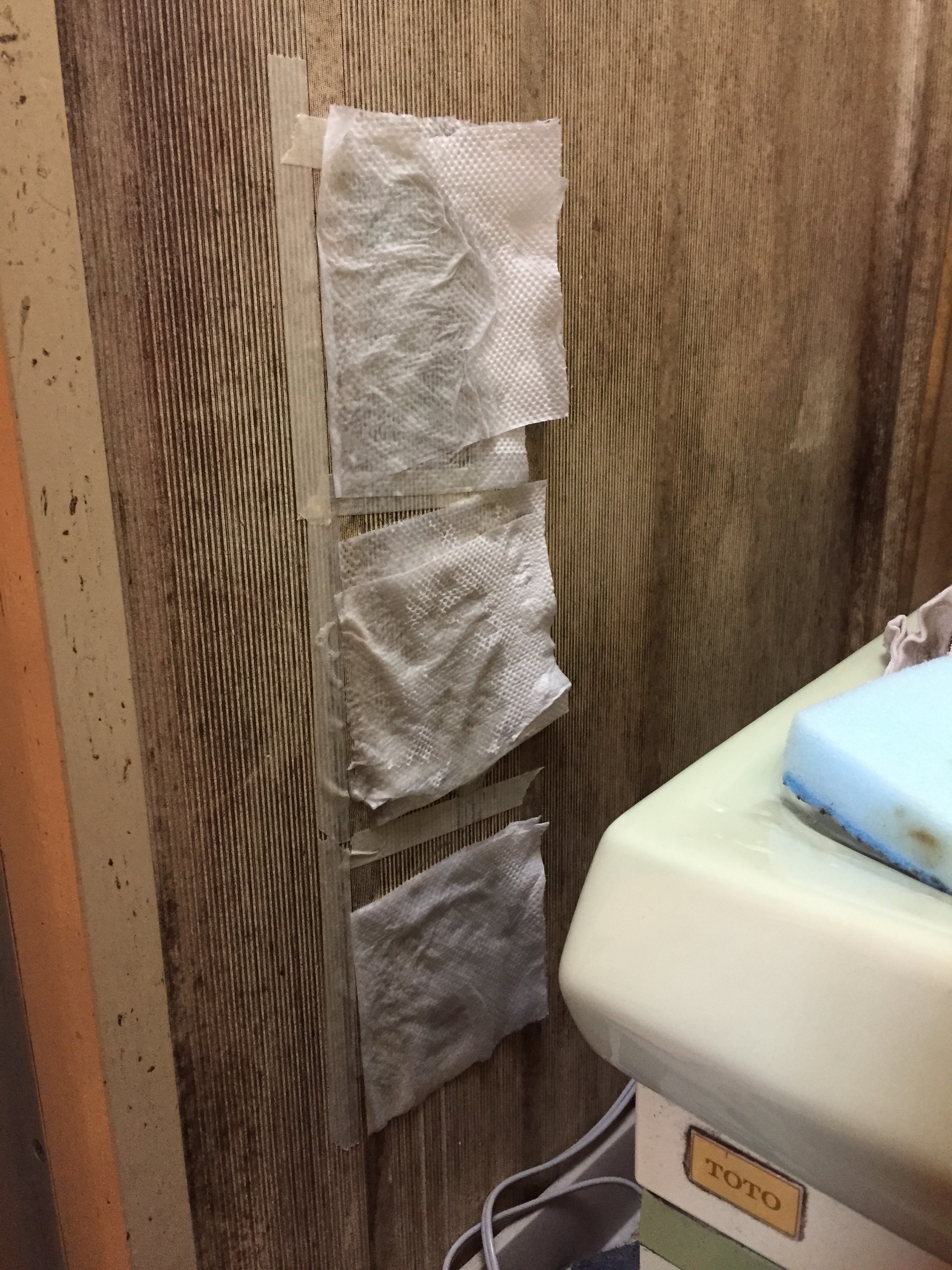 日本一掃除しがいのある汚い家を掃除してきた お風呂のカビ編 くらしの丁度品店 木村石鹸