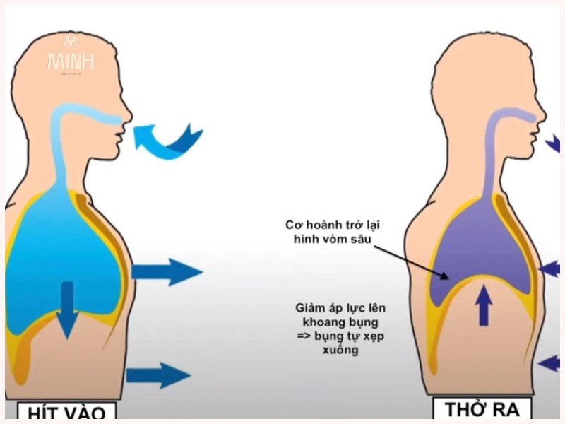 Điều hòa nhịp thớ