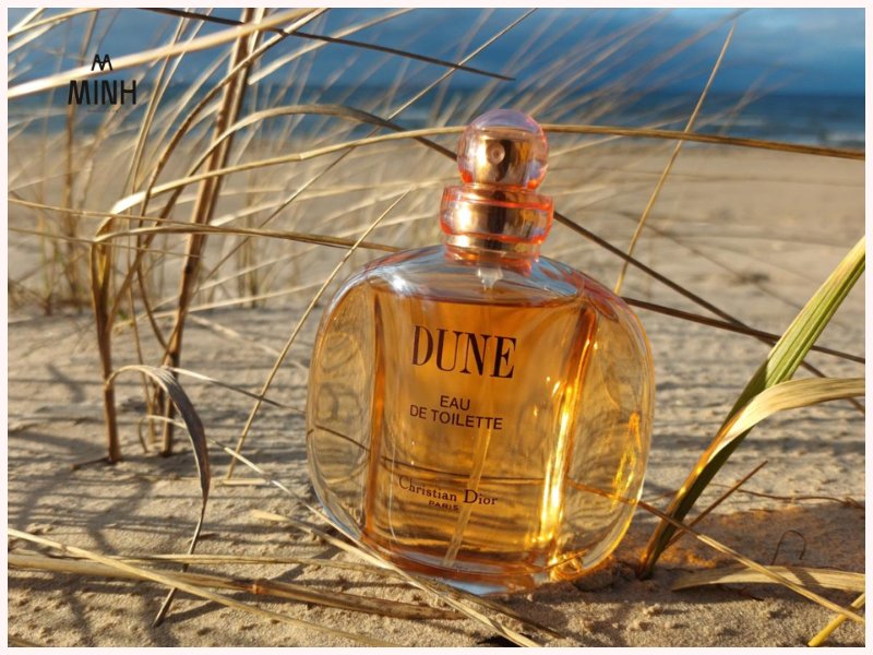 Christian Dior Dune