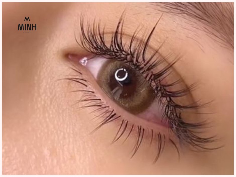Nổi bật và quyến rũ với mi Katun Volume