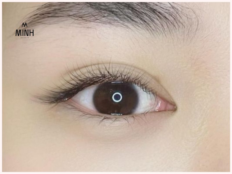 Nối mi tơ Hàn Quốc đẹp nhẹ nhàng