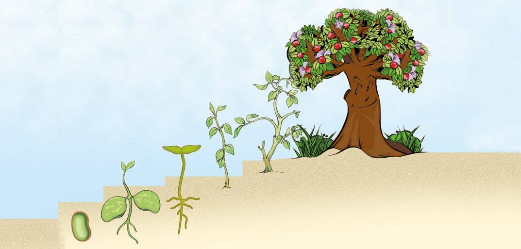 Below the tree. For Kids books about Trees. How does the Tree grows for Kids. The author's Tree of influence.