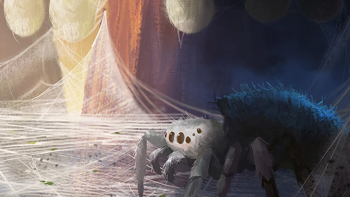 Expedition Banner