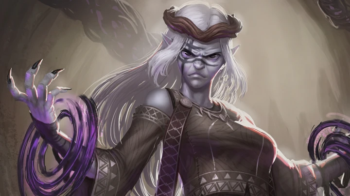 Expedition Banner
