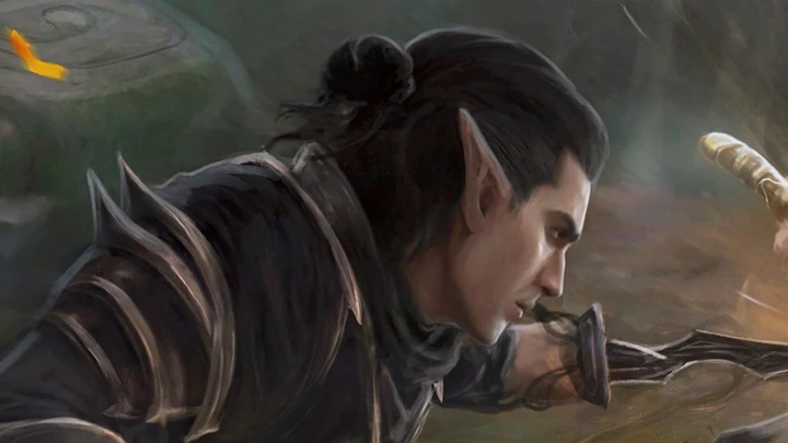 Expedition Banner