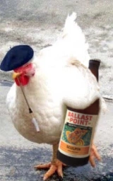 User's profile pic