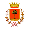 Logo ente Comune di Pagani