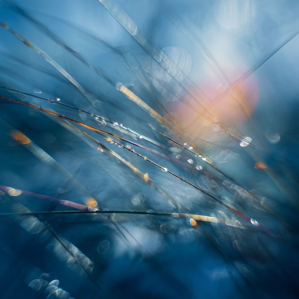 Lektra and EG4 Partner on Batteries with AI Micro Data Centers.