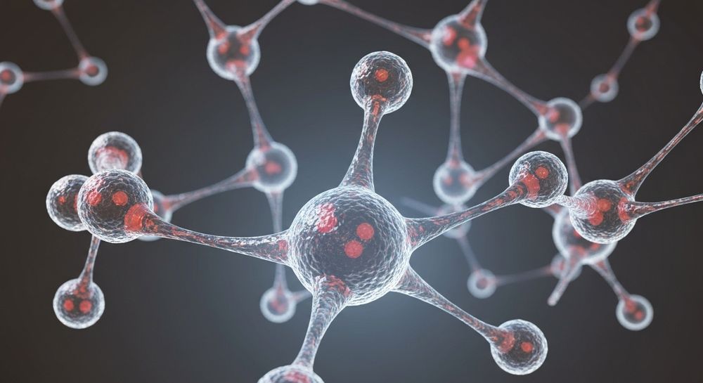 Section Illustration