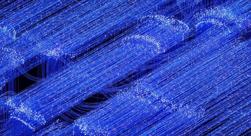 Section Illustration