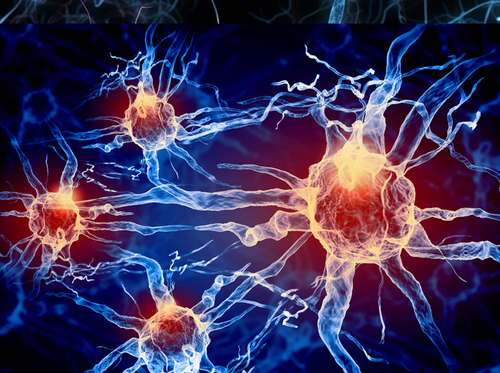 Neuropathie in de oncologie: Wat kan ik als kinesitherapeut betekenen?