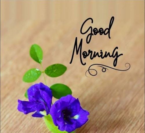 Mansoor masood