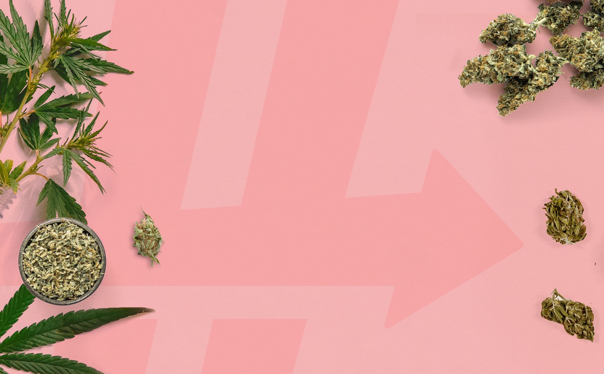 Can You Get Addicted to Cannabis?