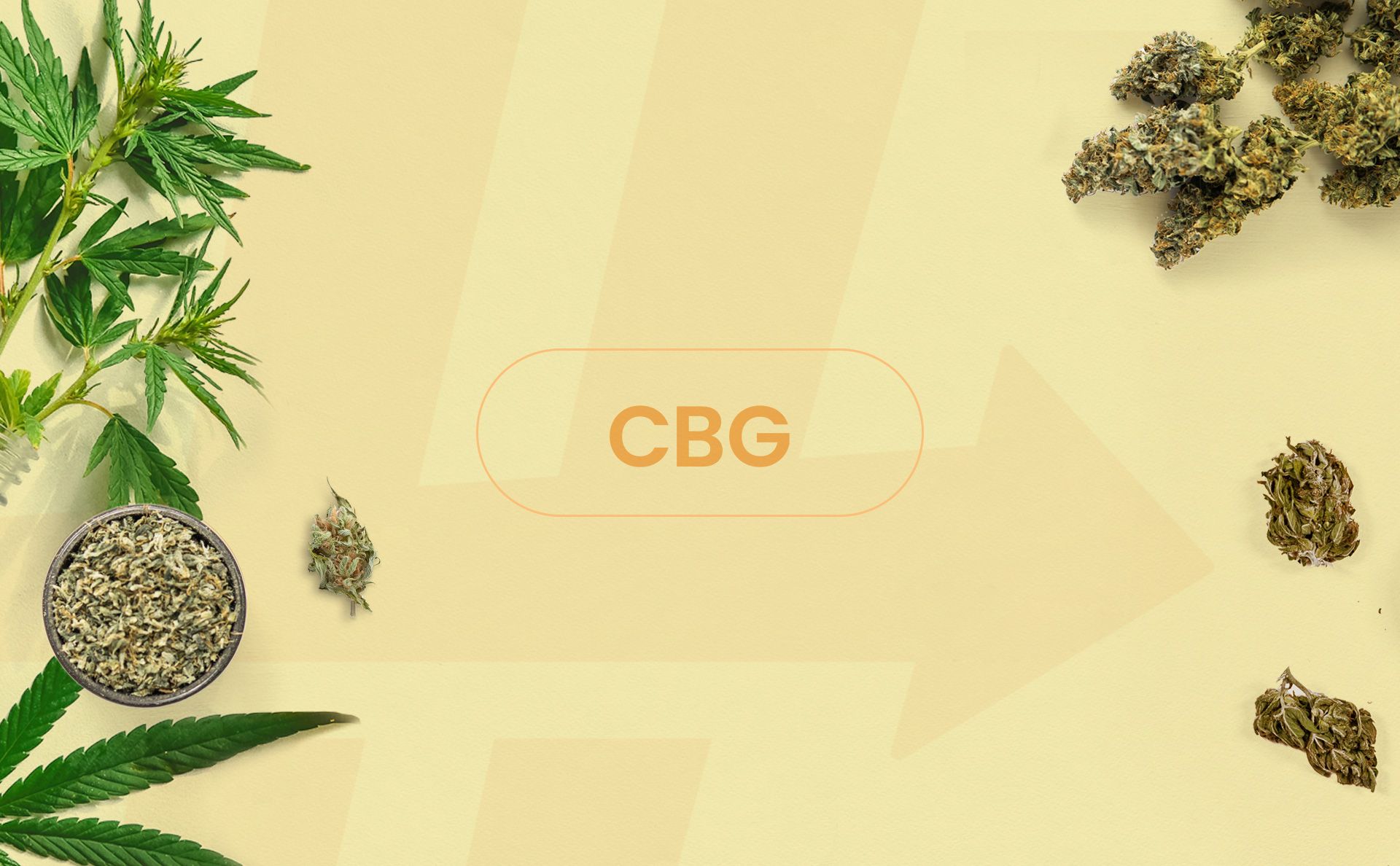 CBG