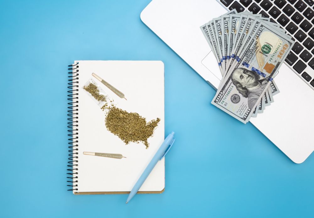 Cannabis On A Notebook With Money On A Laptop.jpg