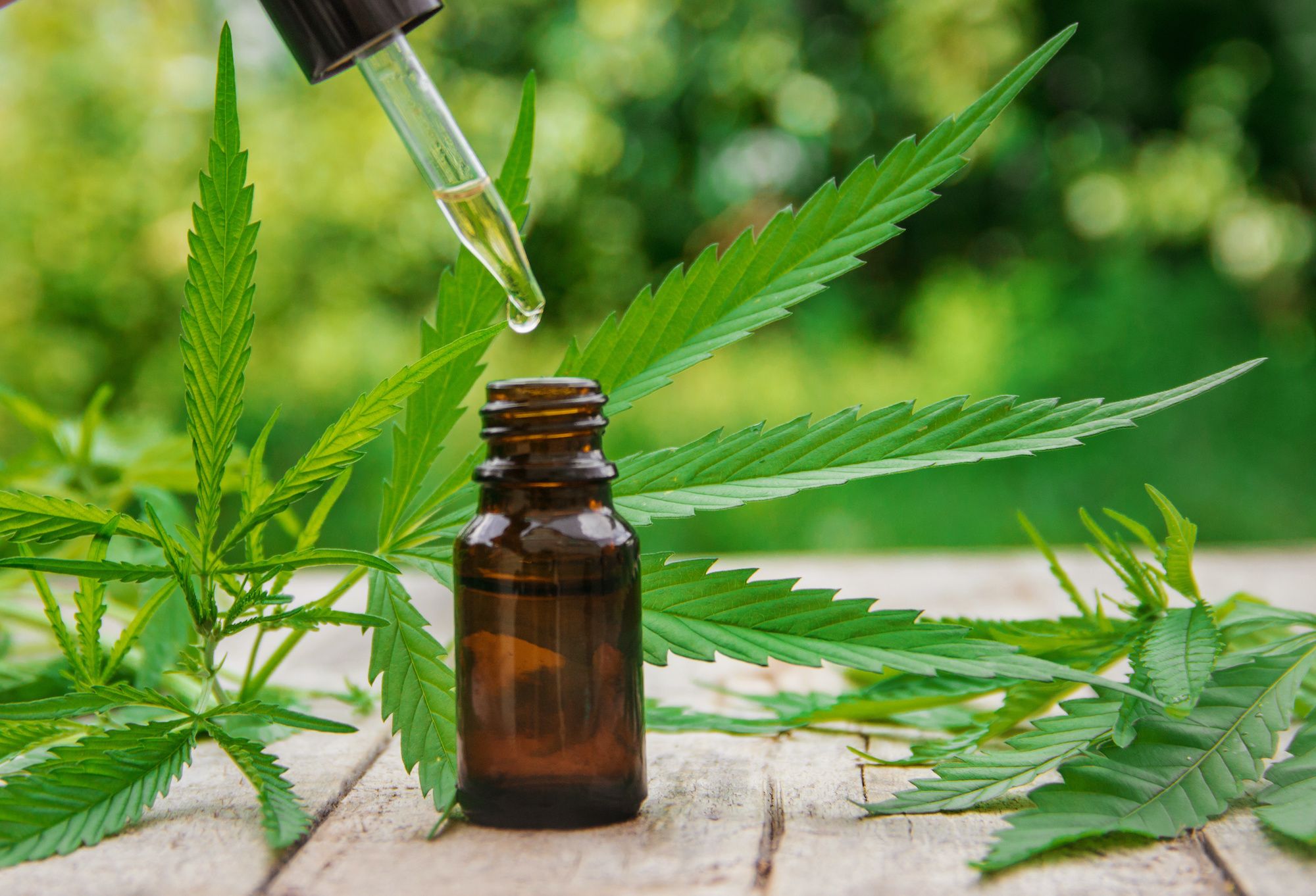 Cannabis-leaf-tincture