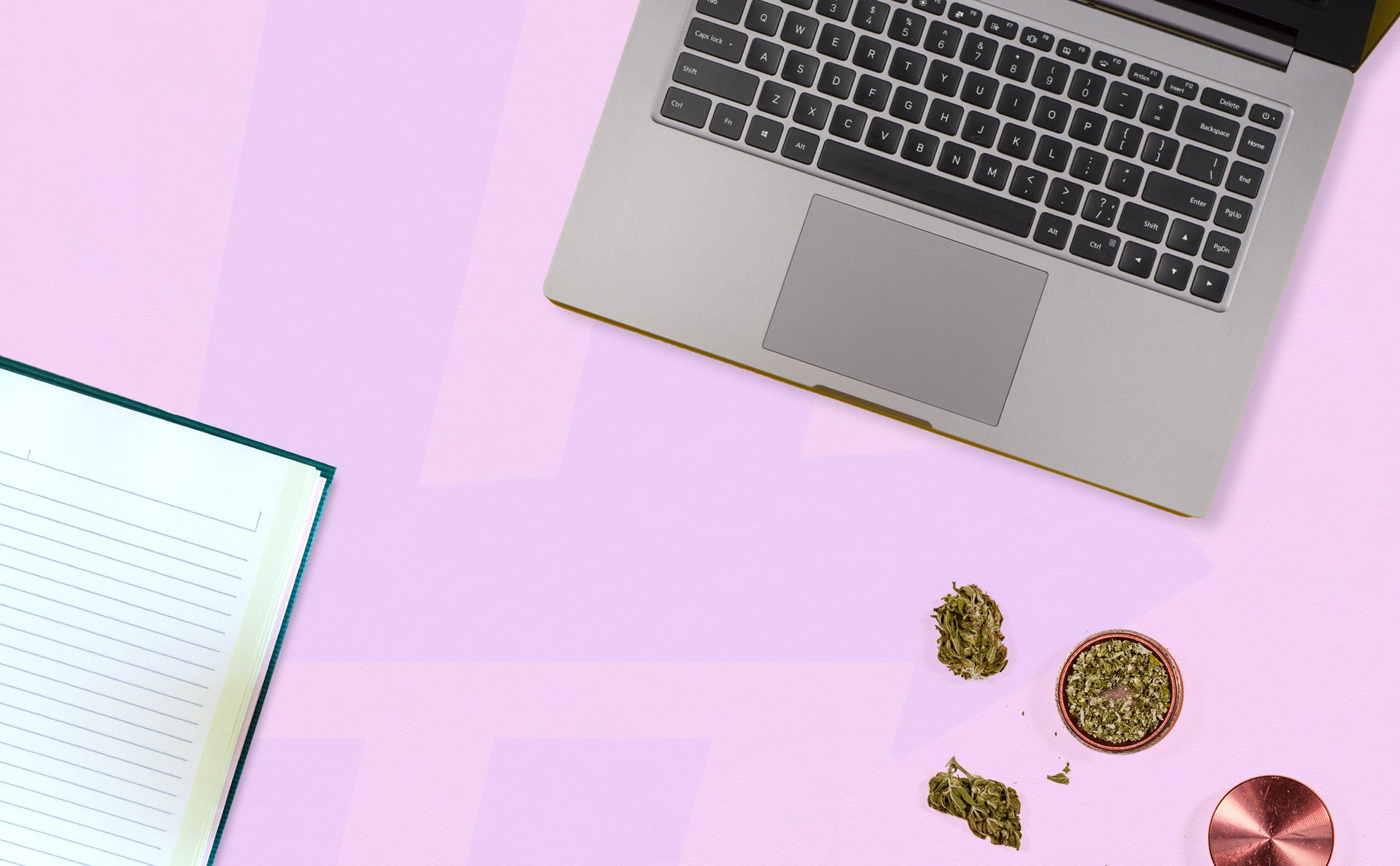 How to Jumpstart Your Cannabis Career