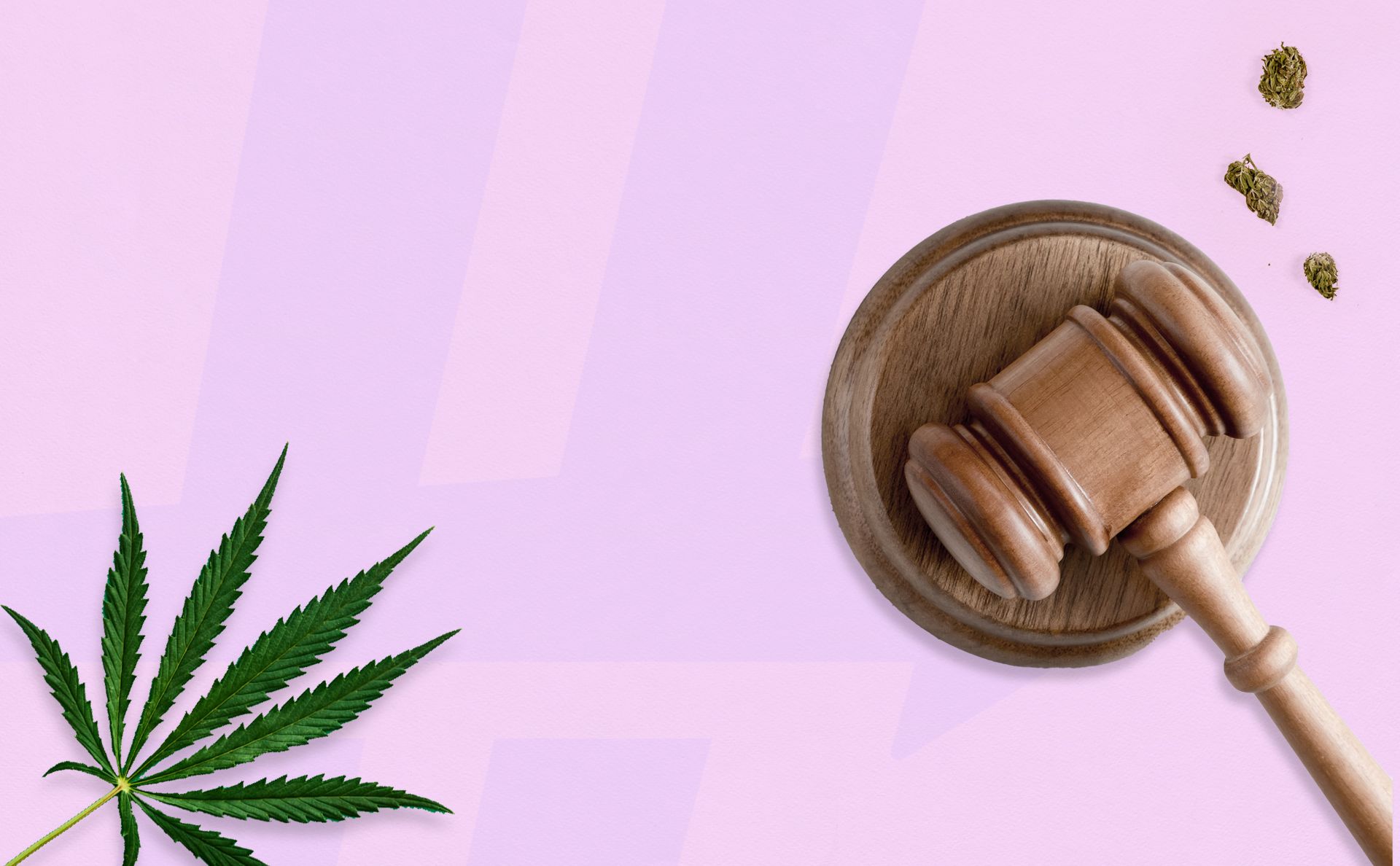 The History of Federal Cannabis Laws