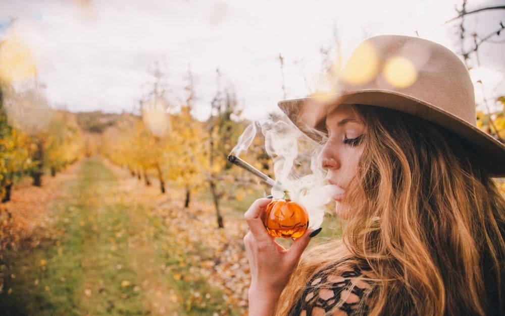 Top Cannabis Strains for Fall