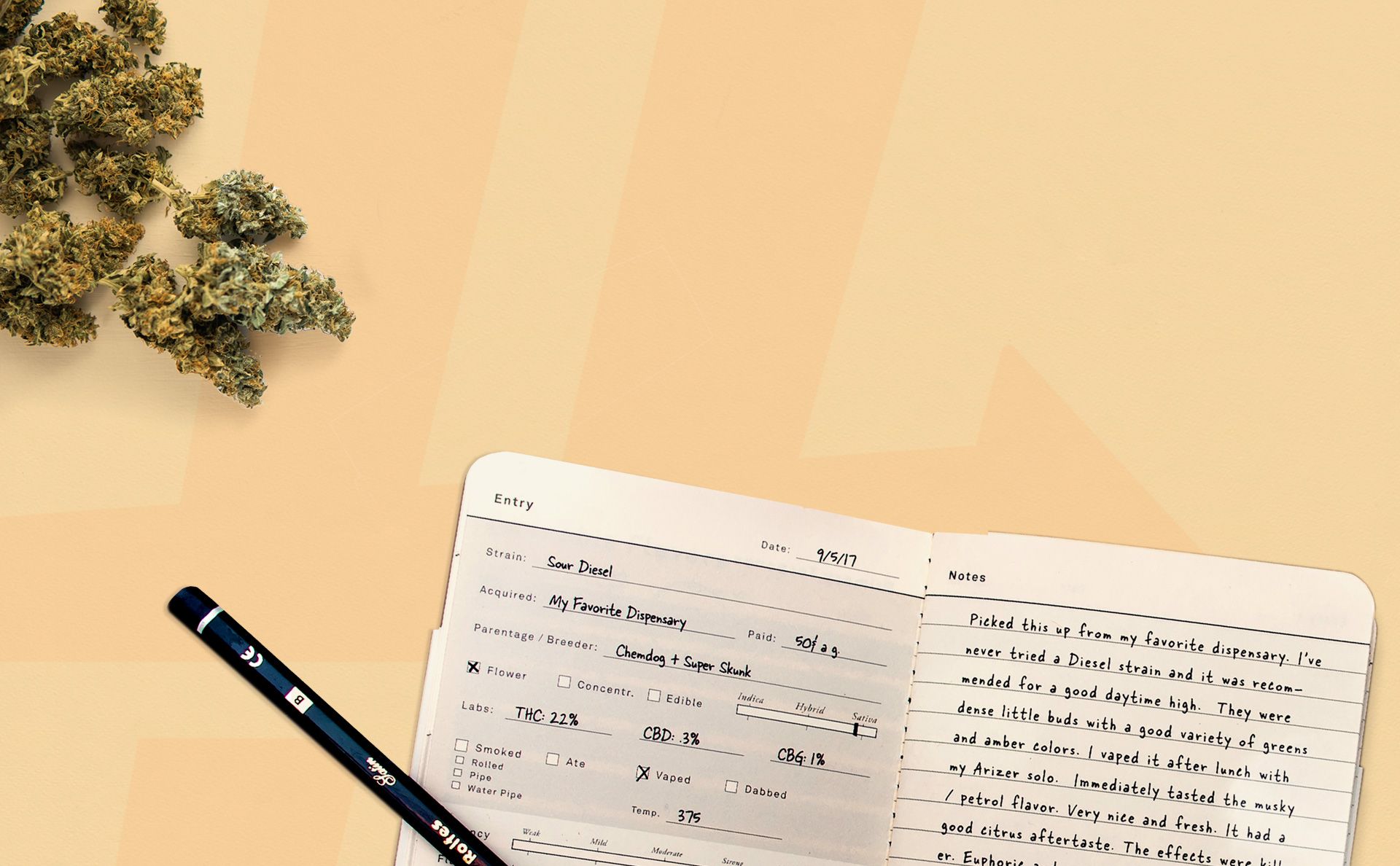 Cannabis Terminology