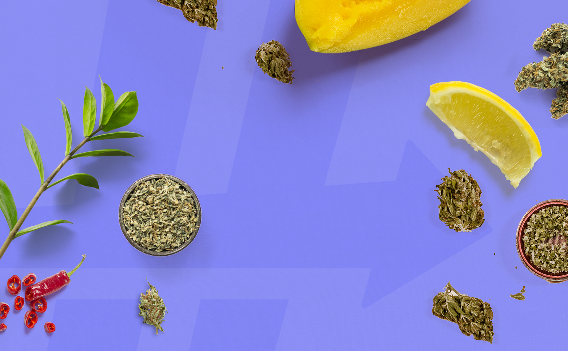 Terpenes