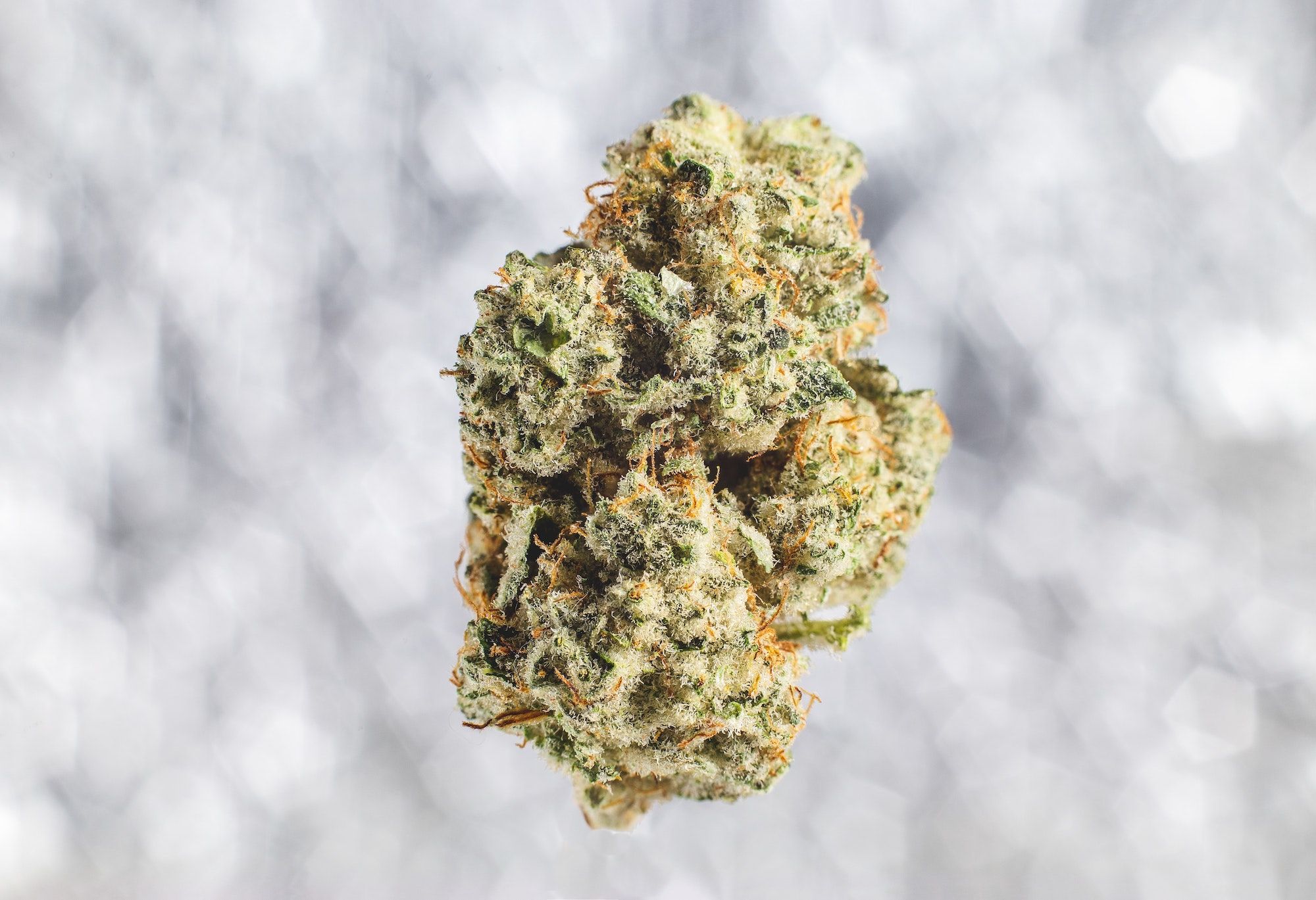 cannabis-bud-on-blurred-background.jpg