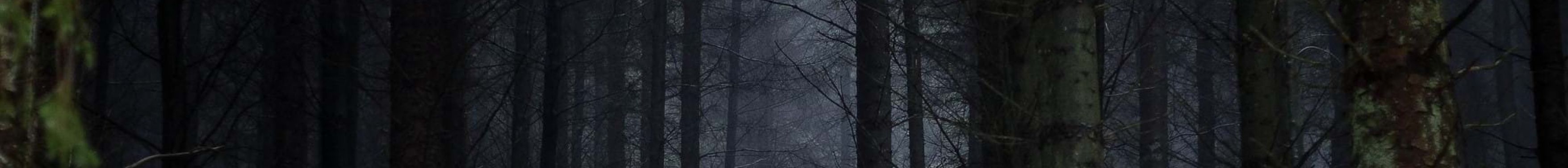 Tree Hero Image