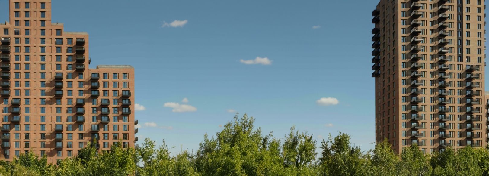 Tree Hero Image