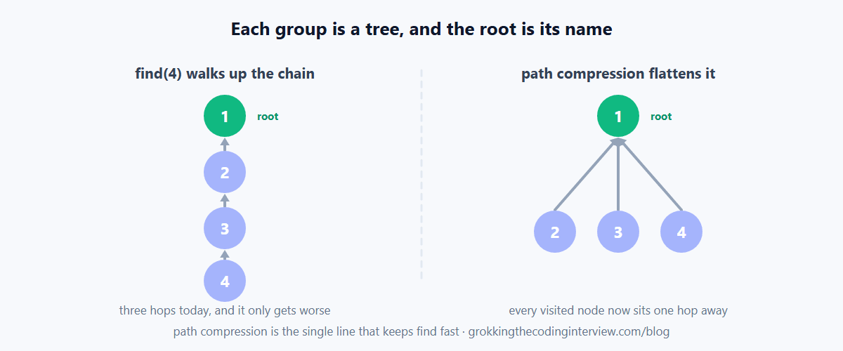 Union-find as a forest of trees, where each root names a group, find walks upward to the root, and path compression flattens the walked nodes to point directly at it