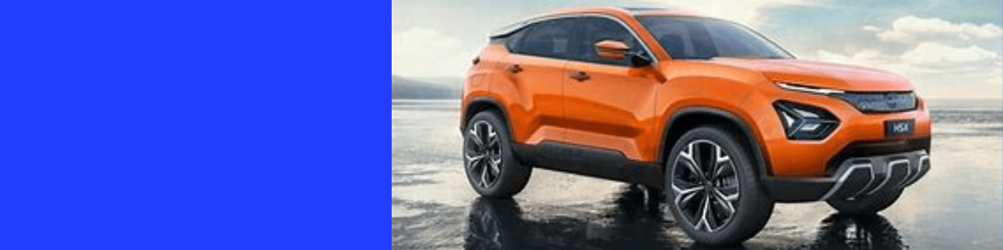 Untitled design (37).png