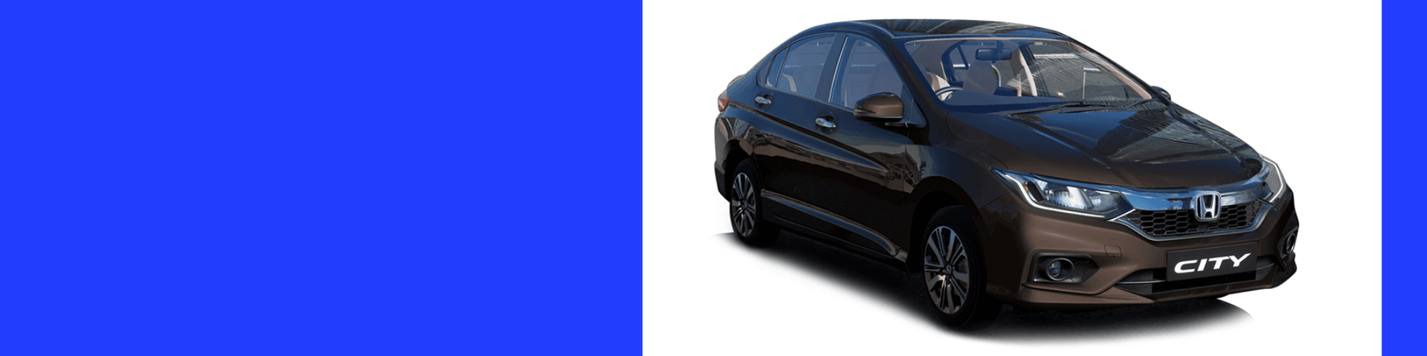 Untitled design (41).png