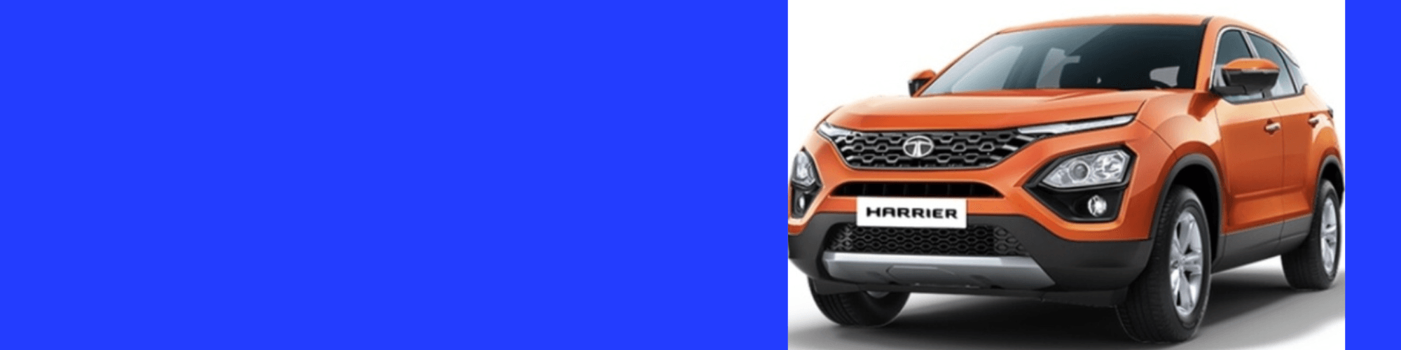 Untitled design (49).png