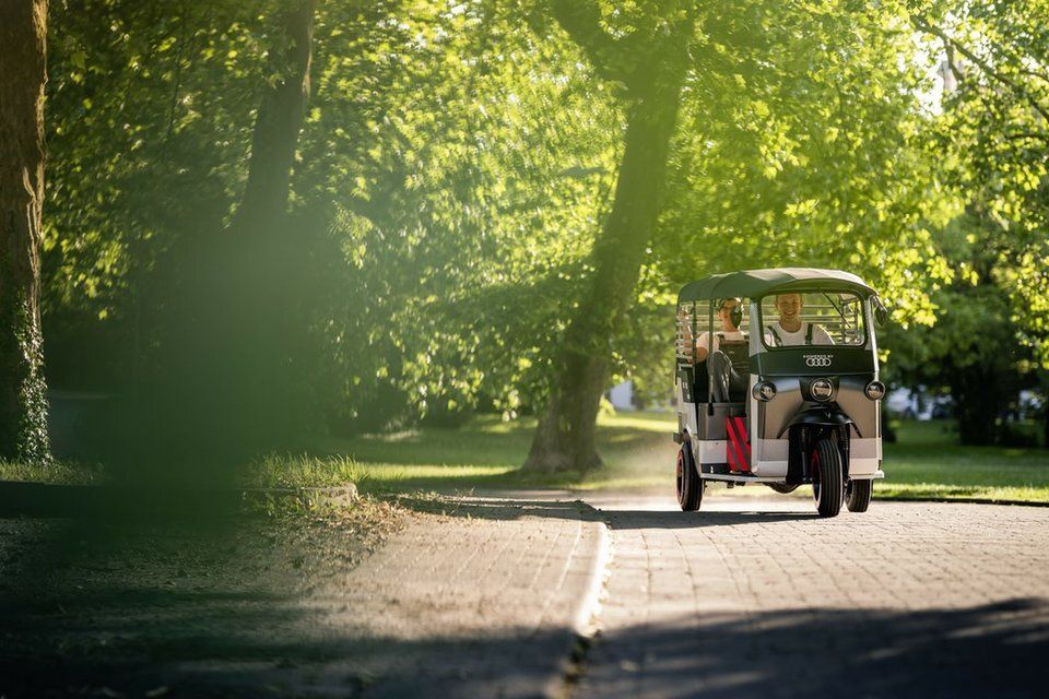 e_rickshaw_2.960_0_1 (1).jpg