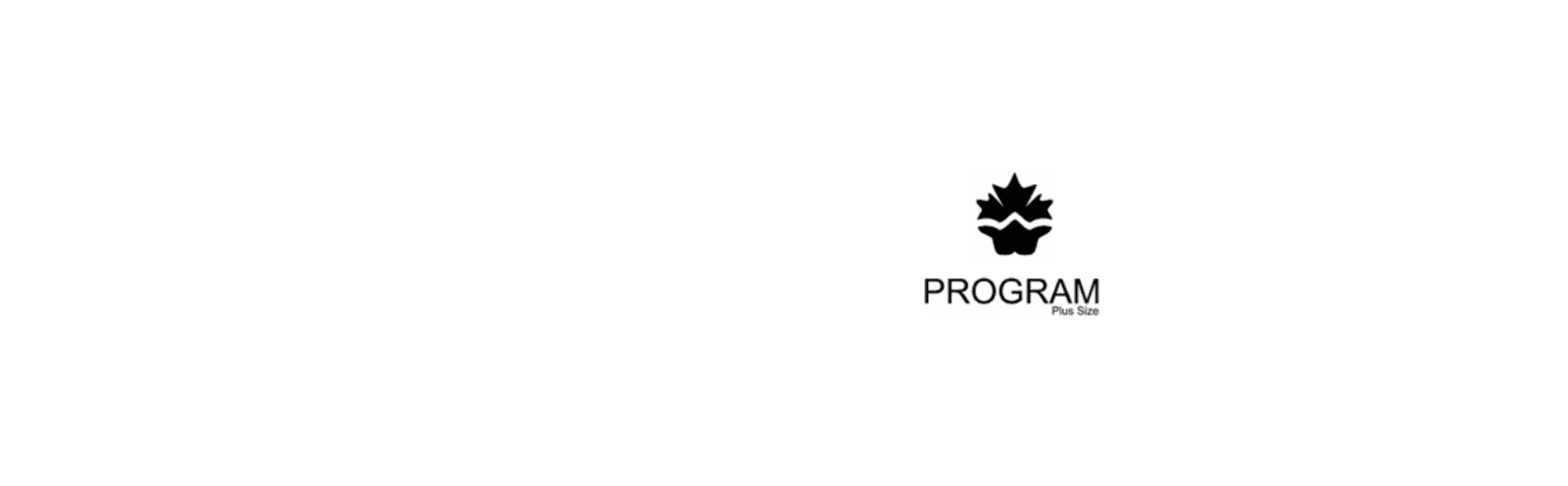 Banner Services