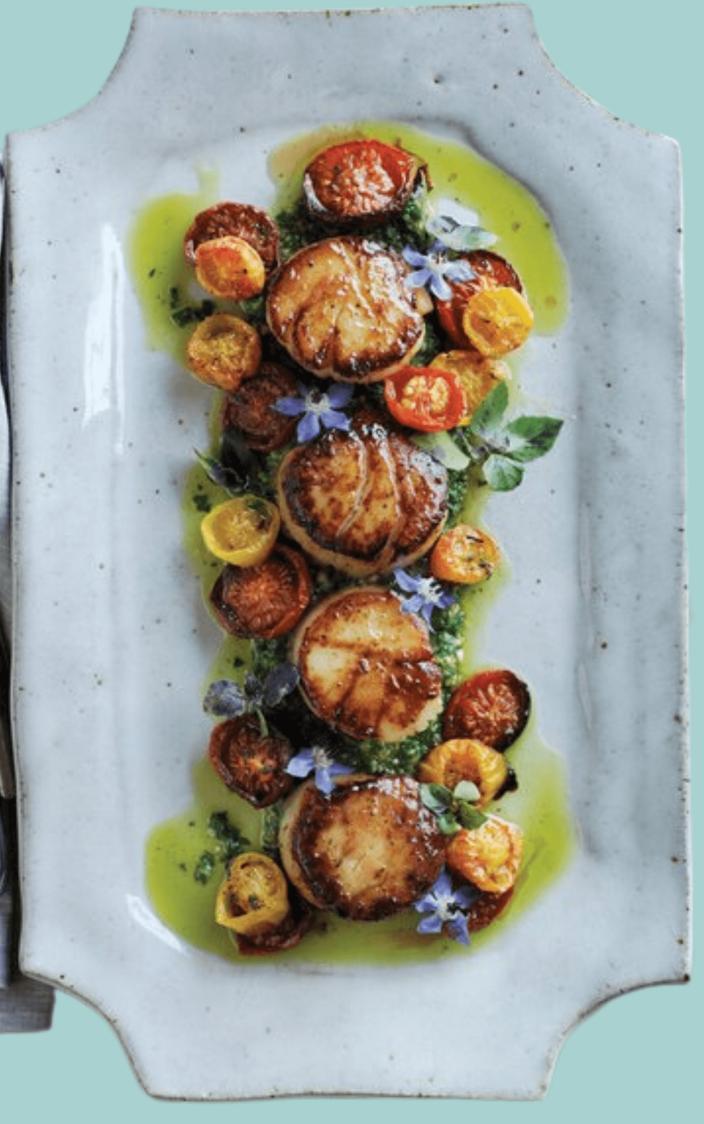 scallops.png