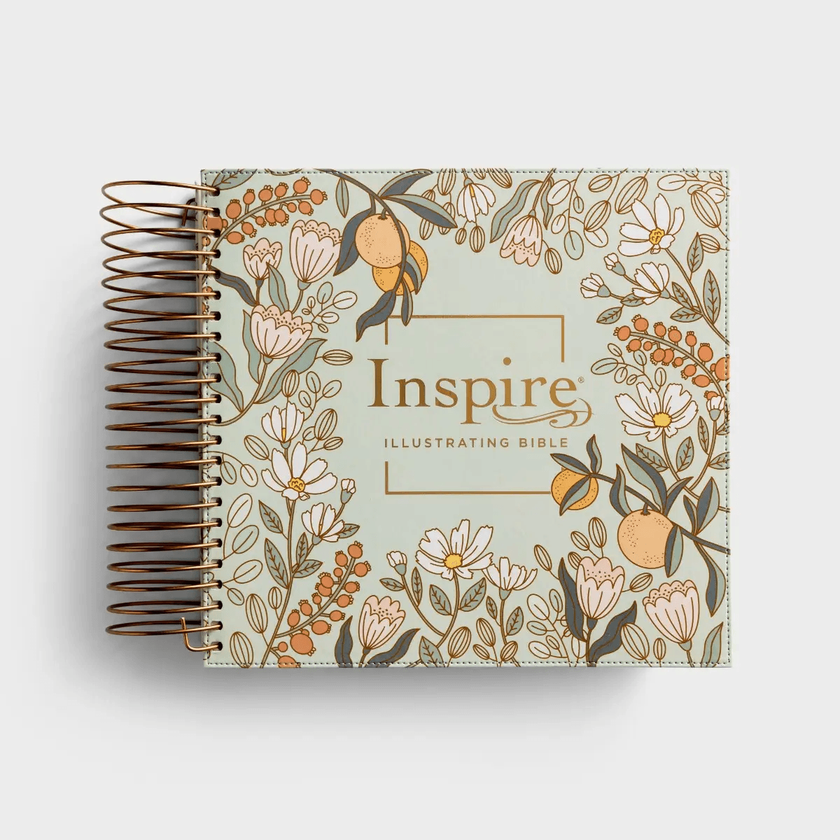 NLT DaySpring Inspire Illustrating Bible