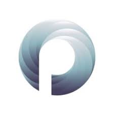 Plerion logo.jpeg