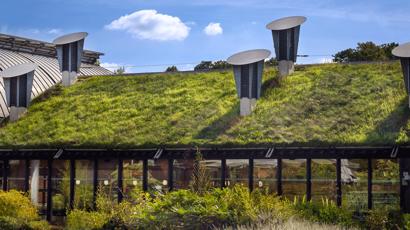 Biodiverse green roof