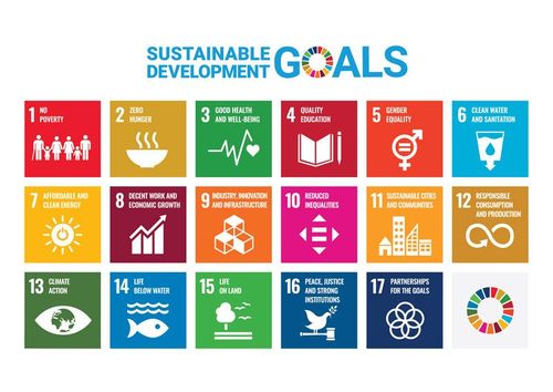 The UN sustainability goals overview