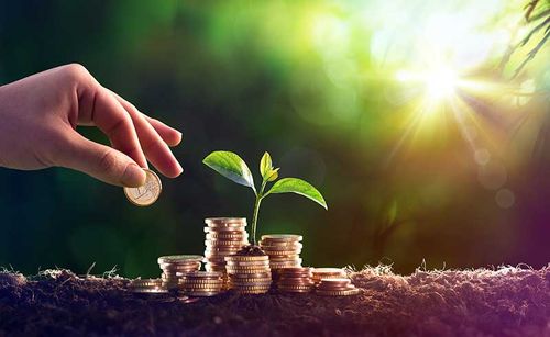 A hand holding placing coins on soil