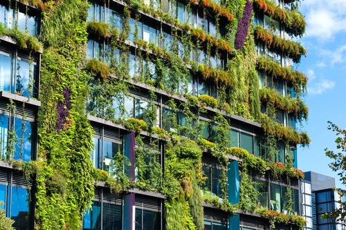 Lush geen walls on a building