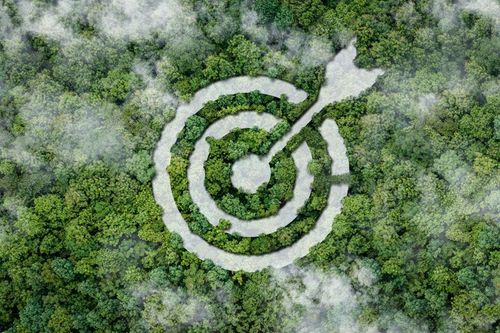 Sustainability target shown over a forest background