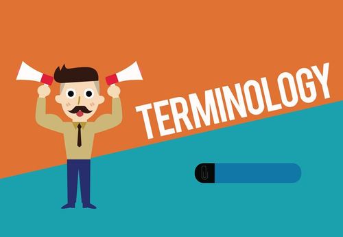 Graphic showing a worried man and the word "terminology"